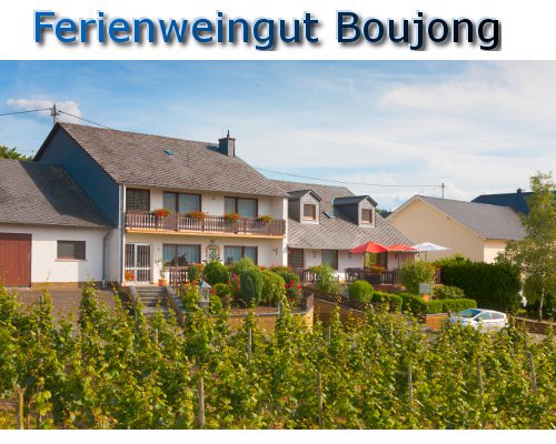 Ferienweingut Boujong 01