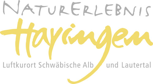 Hayingen Logo grau gelb