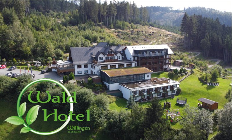 waldhotelwillingen